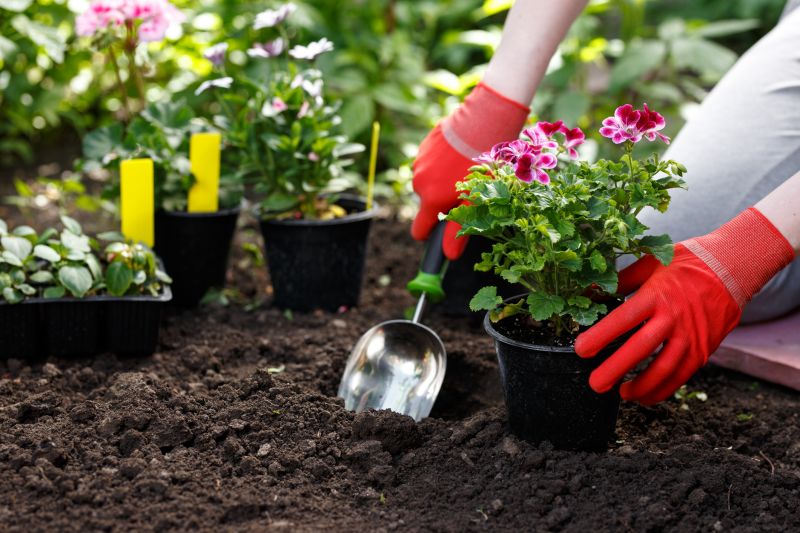 Plant Replacement in Ventura County, CA